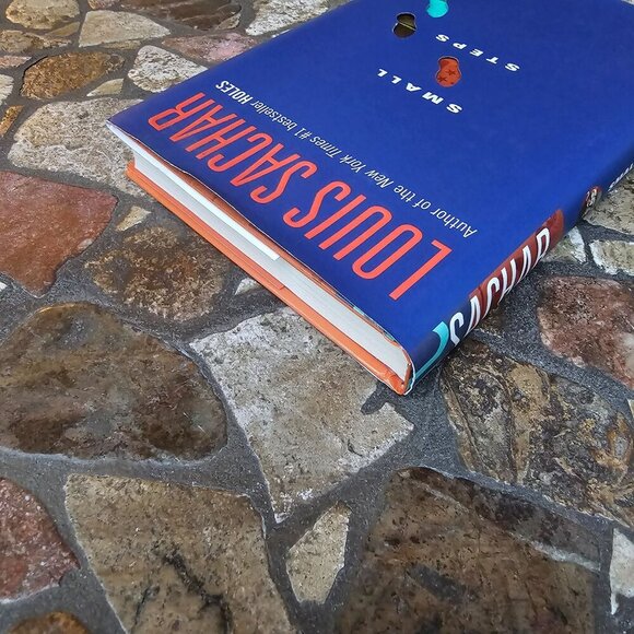 Small Steps By Louis Sachar Hardcover 2006 Delacorte Press - Picture 9 of 9